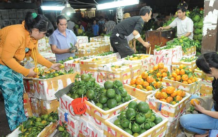 Fruits at Thu Duc Wholesale Market (Photo: SGGP) Fruits at Thu Duc Wholesale Market (Photo: SGGP)
